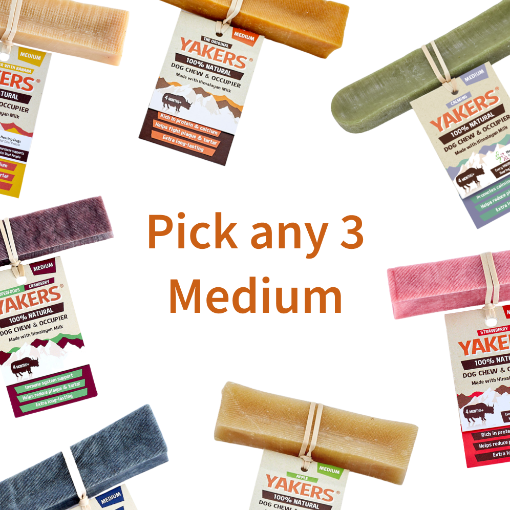 Pick Your Own 3 Variety Medium Bundle Yakers Bundles