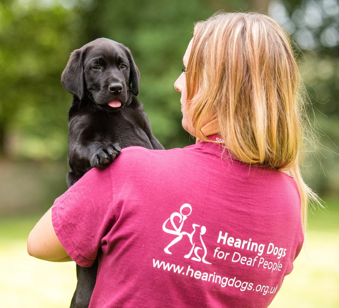 YAKERS Announces Brand Charity Partnership with Hearing Dogs for Deaf People