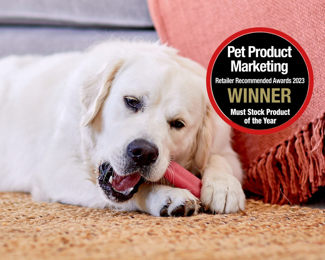 YAKERS Flavours Win Pet Product Marketing’s ‘Must Stock Product of the Year’ Award for 2023