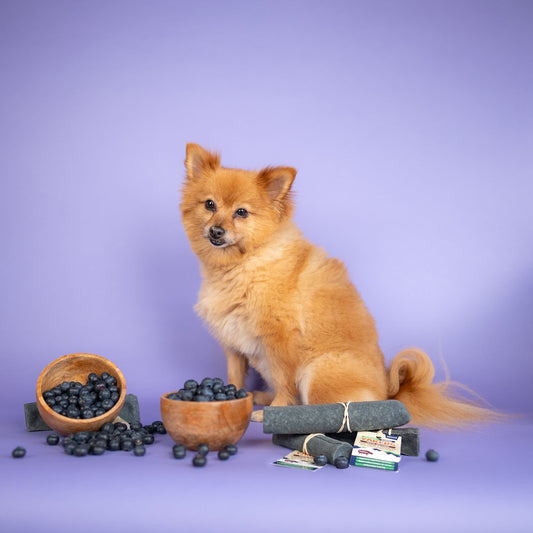 YAKERS Launch New Superfood Blueberry Flavour