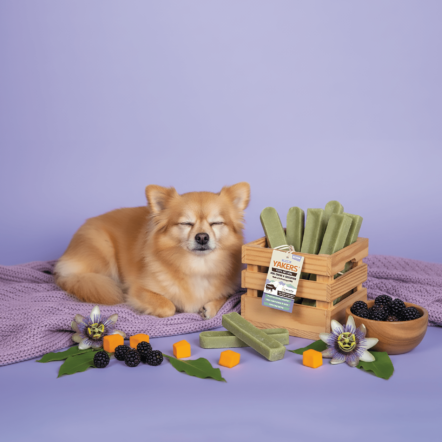 Dog Chews – YAKERS