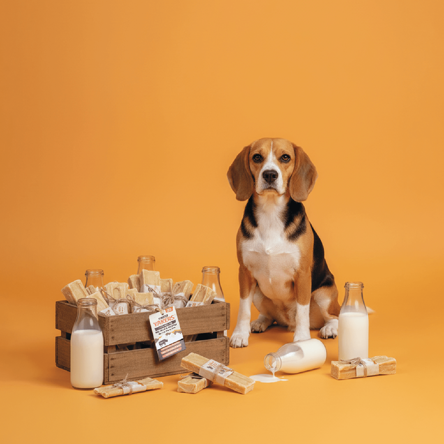 YAKERS 100% Natural Dog Chews and Crunchy Snacks – YAKERS