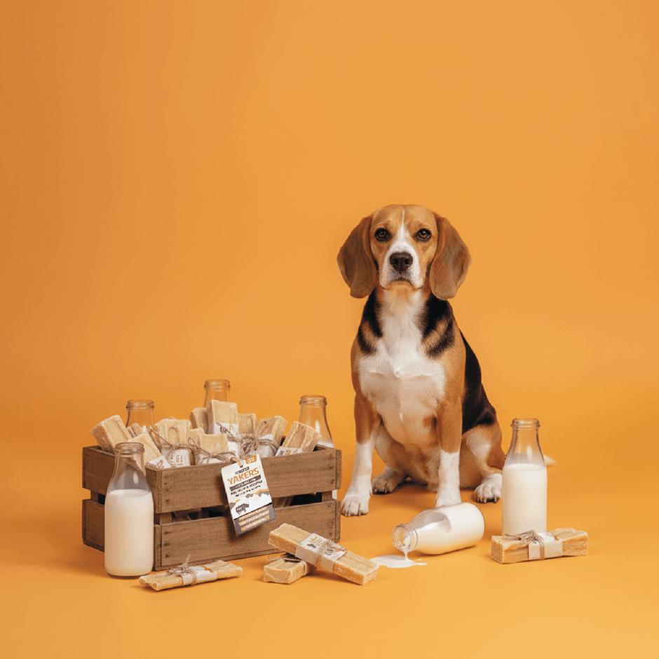YAKERS 100% Natural Dog Chews and Crunchy Snacks – YAKERS