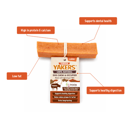 YAKERS Pumpkin Dog Chew YAKERS