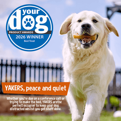 YAKERS Blueberry Dog Chew