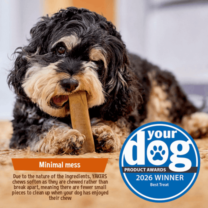 YAKERS Blueberry Dog Chew