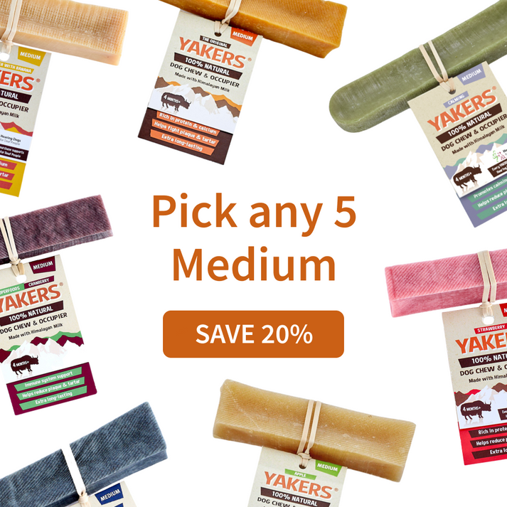 Pick Your Own 5 Variety Medium Bundle – YAKERS