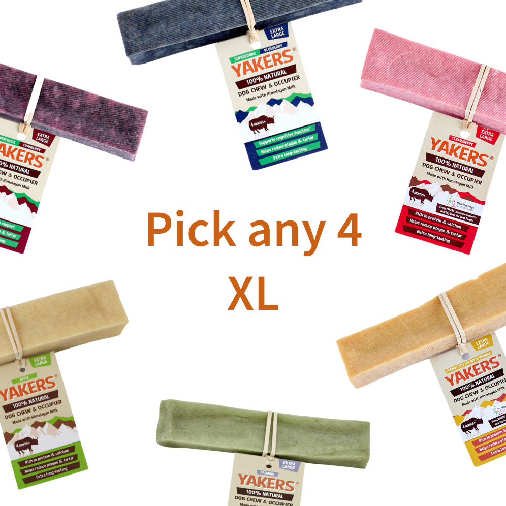 Pick Your Own 4 Variety XL Bundle Yakers Bundles