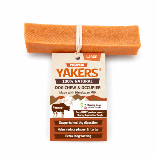YAKERS Pumpkin Dog Chew YAKERS Large