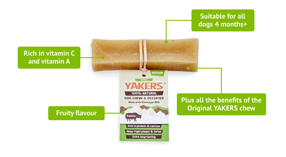 YAKERS Apple Dog Chew YAKERS