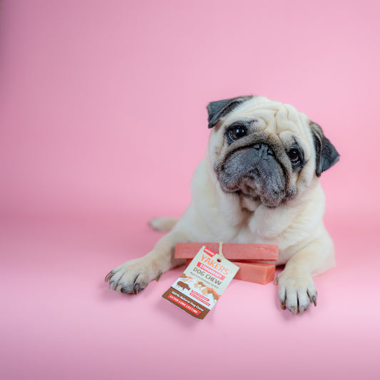 YAKERS Strawberry Dog Chew YAKERS