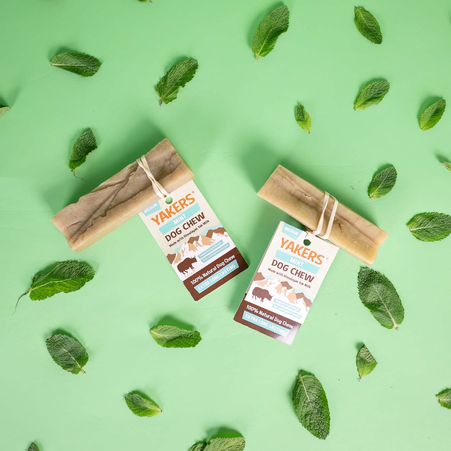 YAKERS Mint Dog Chew YAKERS
