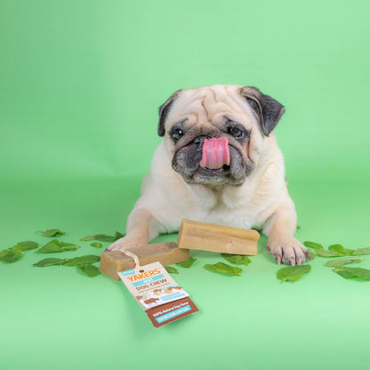 YAKERS Mint Dog Chew YAKERS