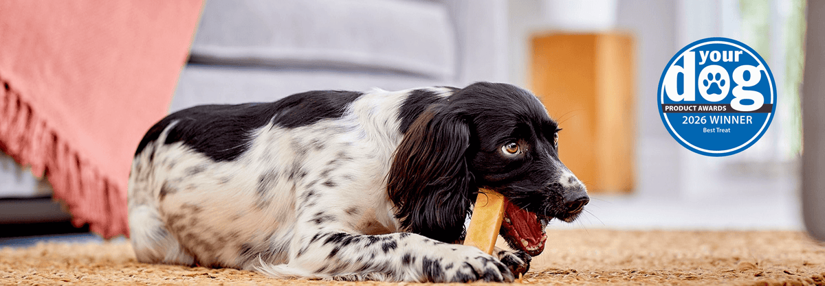 YAKERS 100% Natural Dog Chews and Crunchy Snacks – YAKERS