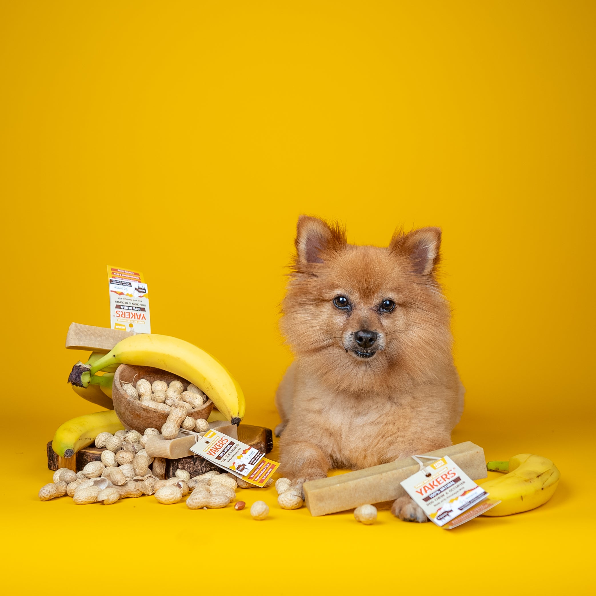 YAKERS 100% Natural Dog Chews and Crunchy Snacks – YAKERS