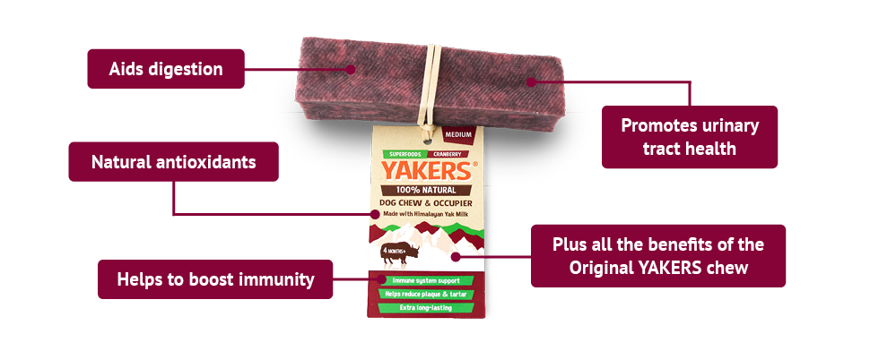 yakers cranberry benefits